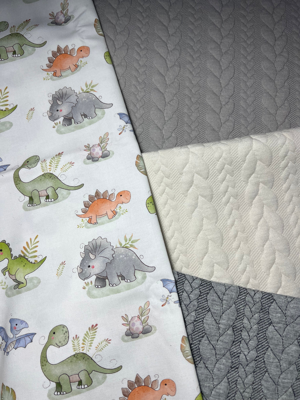 Cotone Premium Dinosauri