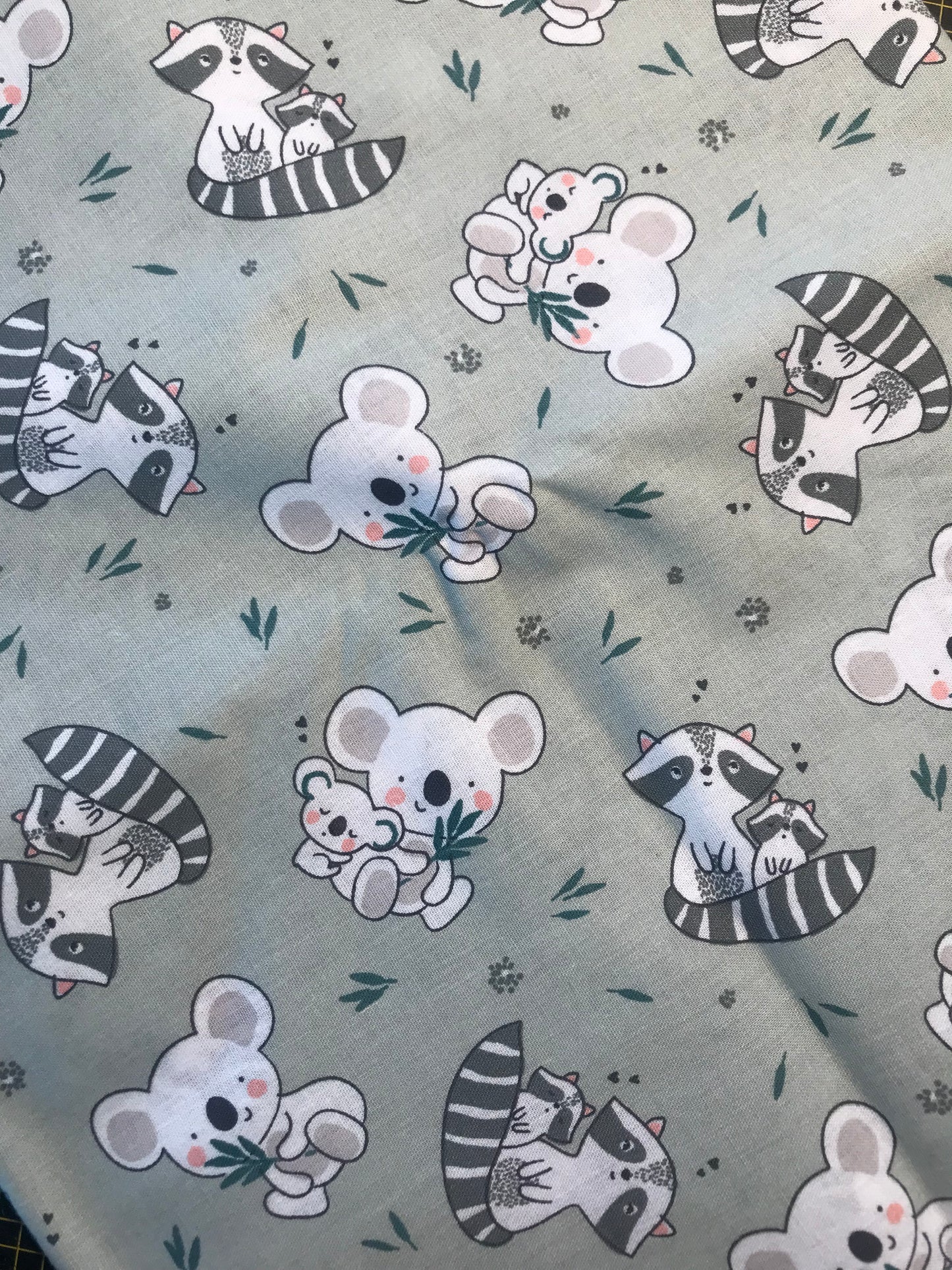 Cotone procione e koala
