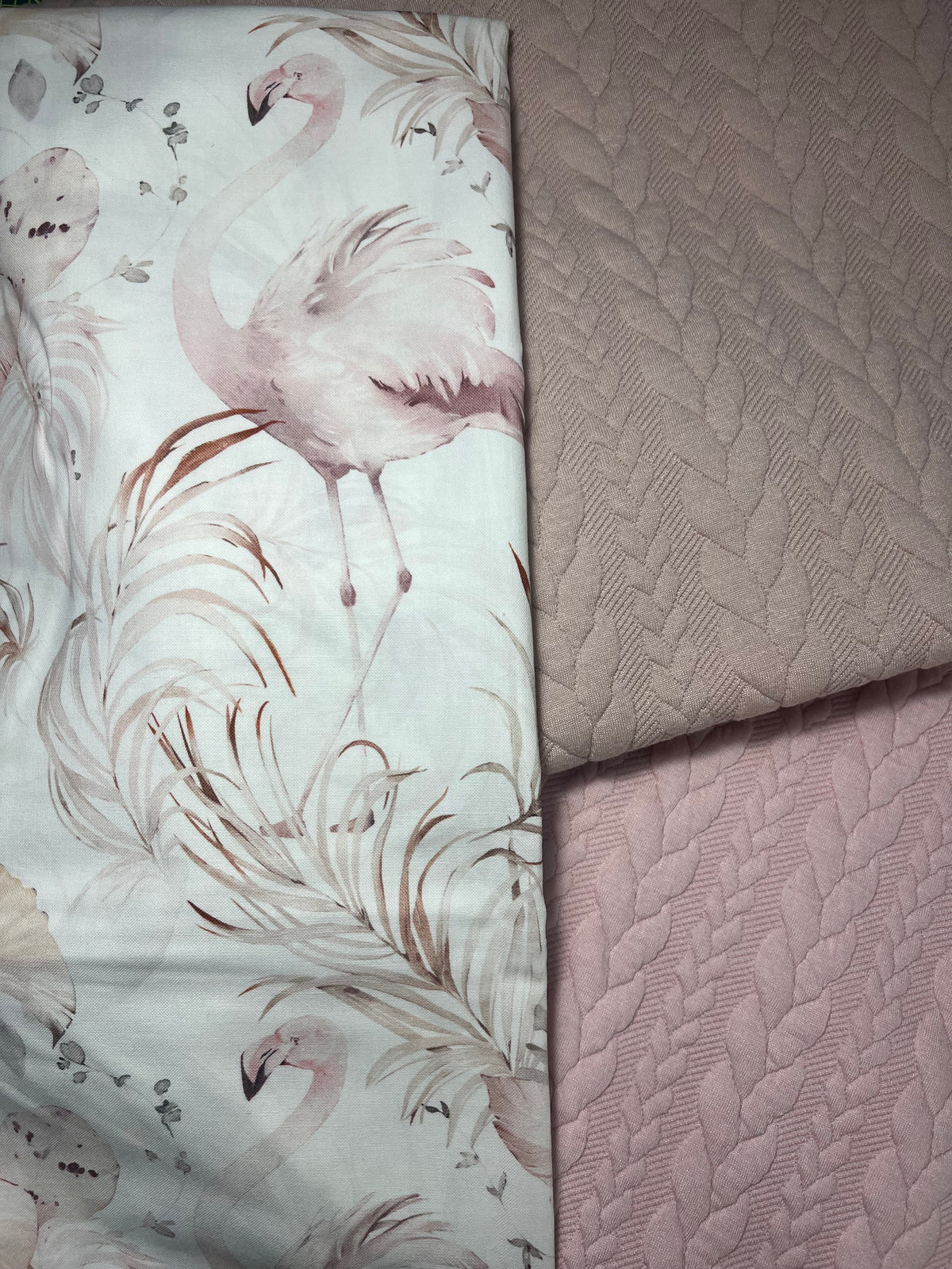 Cotone Premium fenny rouse