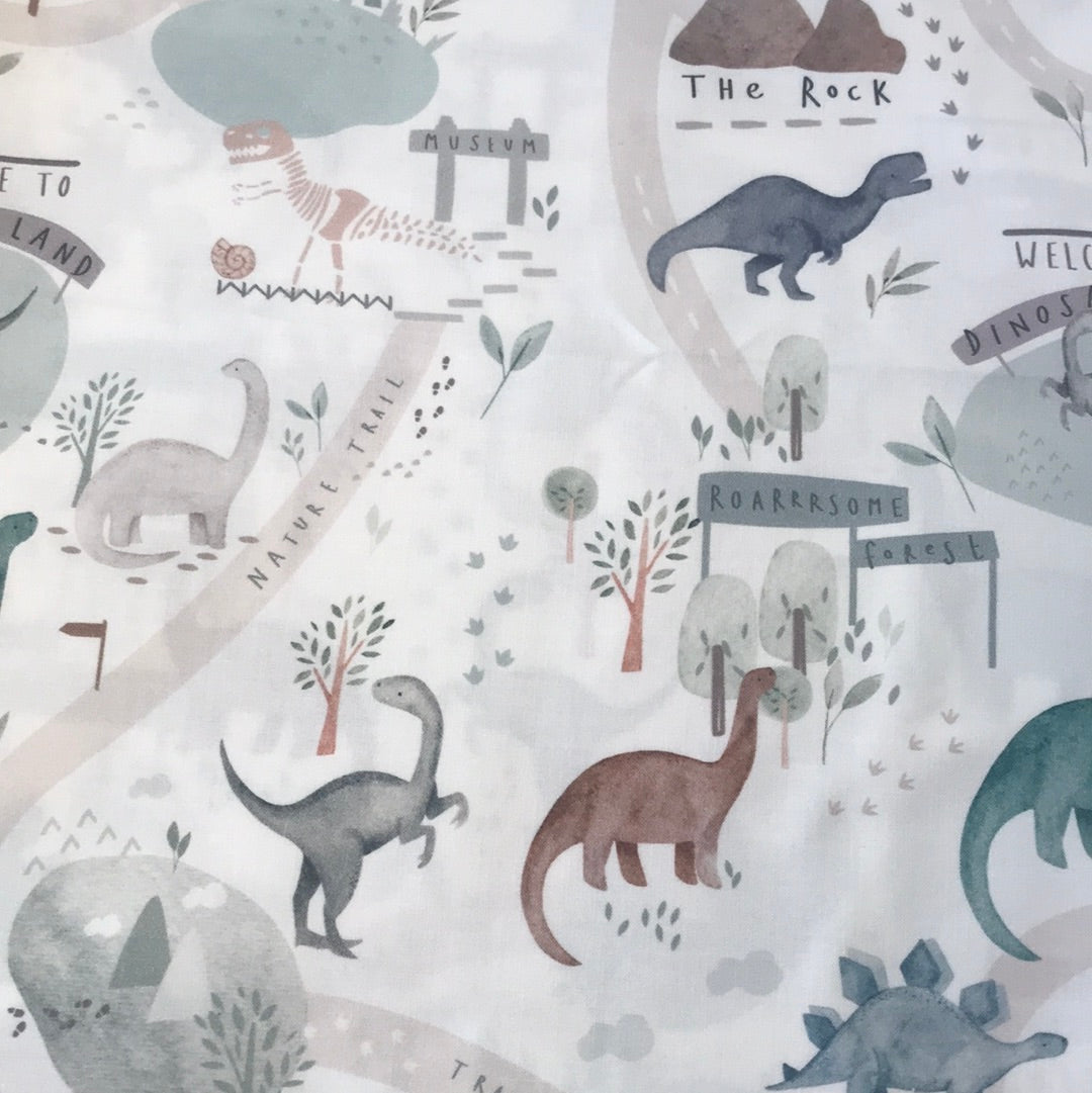 Dinosaur Land